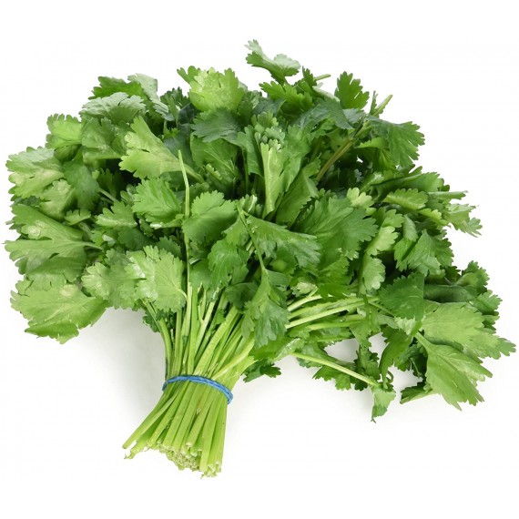 How to Keep Coriander Fresh for Weeks: 3 Easy Methods